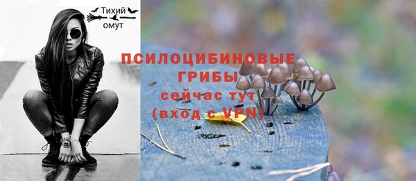 стаф Ступино
