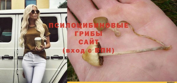 стаф Ступино