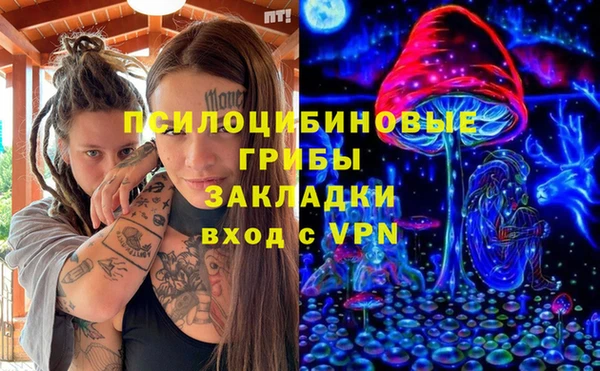 стаф Ступино